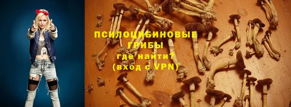 ешки Абинск