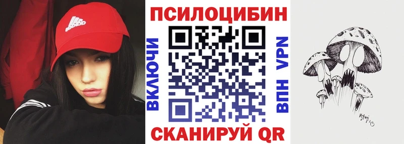 Галлюциногенные грибы Magic Shrooms  продажа наркотиков  Нюрба 